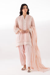 Stitched Embroidered Lawn Suit