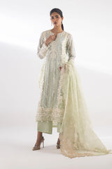 Stitched Embroidered Net Suit
