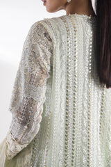Stitched Embroidered Net Suit