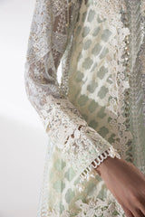Stitched Embroidered Net Suit
