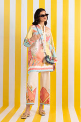 Stitched Printed Khaddar Shirt