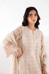 Stitched Organza Embroidered Suit