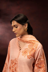 Stitched Embroidered Khaddar Suit
