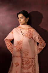 Stitched Embroidered Khaddar Suit