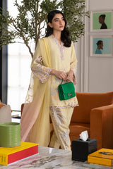 Stitched Embroidered Raw Silk Shirt + Shalwar