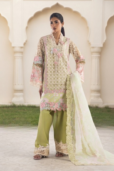 Stitched Embroidered Organza Suit
