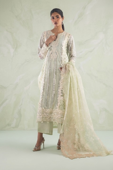 Stitched Embroidered Net Suit Main image