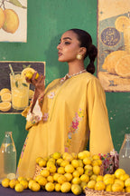 Unstitched Printed 2 Piece Lawn Suit