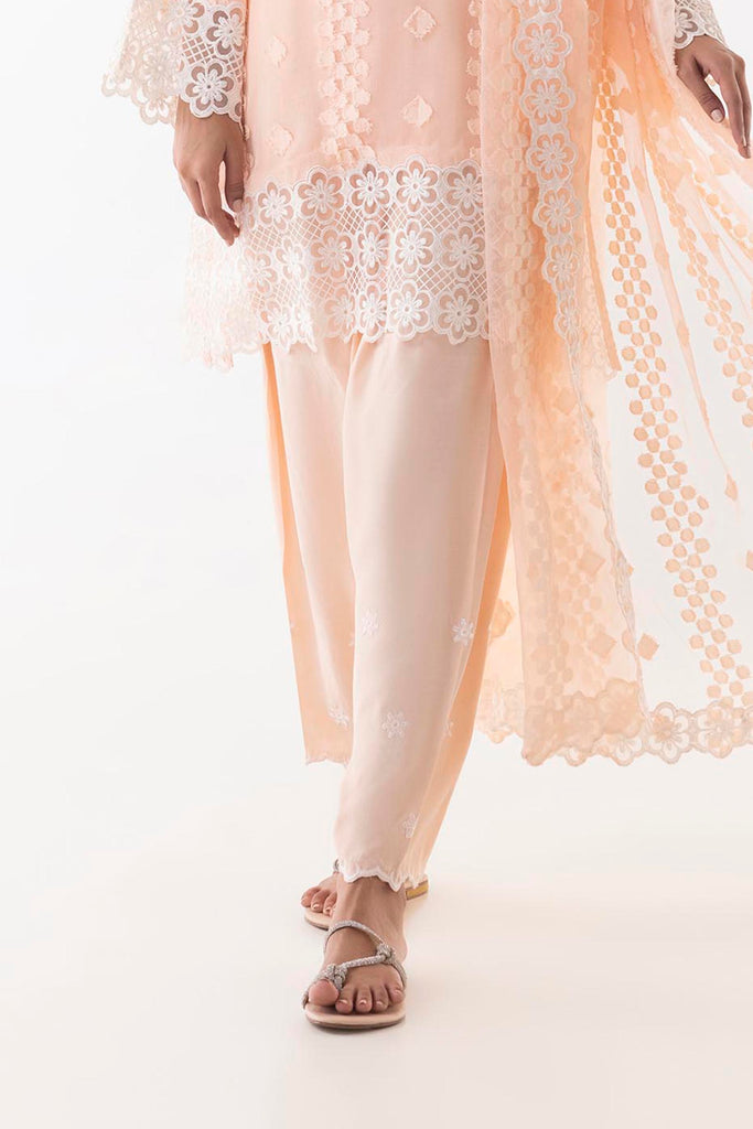 Stitched Embroidered Raw Silk Shalwar