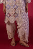 Stitched Embroidered Raw Silk Shalwar