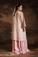 Stitched Embroidered Organza Shirt + Gharara