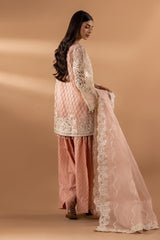 Stitched Embroidered Suit