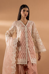 Stitched Embroidered Suit