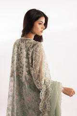 Stitched Cotton Embroidered Suit