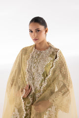Stitched Embroidered Organza Suit