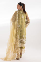 Stitched Embroidered Organza Suit