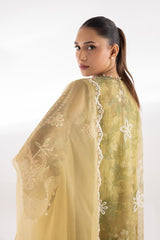 Stitched Embroidered Organza Suit