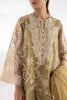 Stitched Embroidered Organza Suit