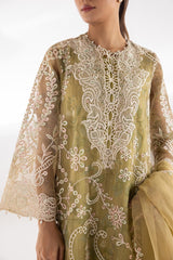 Stitched Embroidered Organza Suit