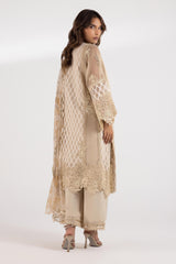 Stitched Embroidered Organza Suit