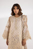 Stitched Embroidered Organza Suit