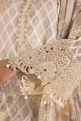Stitched Embroidered Organza Suit
