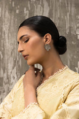 Stitched Luxury Embroidered Short Shirt + Shalwar