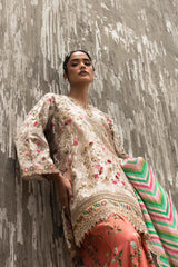 Stitched Luxury Embroidered Short Shirt + Shalwar + Dupatta