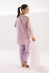Stitched Kids Embroidered Net Suit
