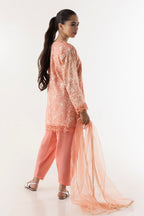 Stitched Kids Khaddi Net Embroidered Suit