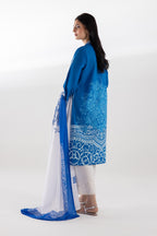 Stitched Printed Lawn Shirt + Dupatta