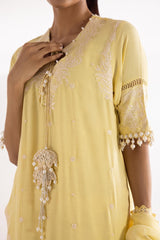 Stitched Embroidered Raw Silk Shirt + Culotte + Dupatta