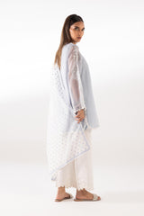Stitched Embroidered Cotton Net Shirt + Dupatta