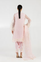 Stitched Embroidered Shirt + Shalwar + Dupatta