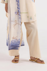 Stitched Dyed Lawn Shalwar