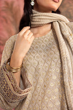 Stitched Embroidered Georgette Suit