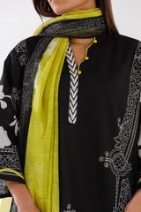 Stitched Printed Lawn Suit