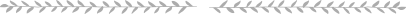 section-divider