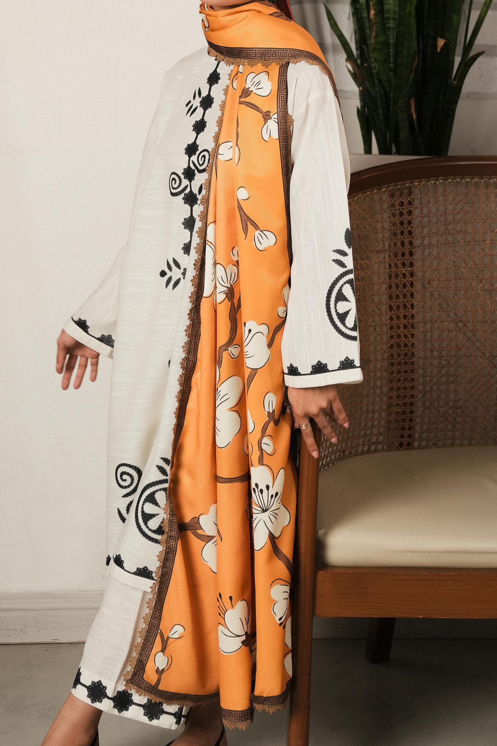 Multi Printed Shawl Main image