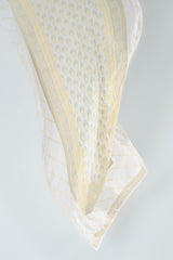 SS23GDUP119 (Dupatta)