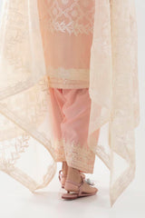 Stitched Pink Shalwar