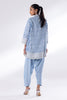 Stitched Cotton Slub Embroidered Set