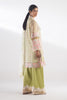 Stitched Embroidered Organza Suit