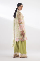 Stitched Embroidered Organza Suit