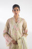 Stitched Embroidered Organza Suit