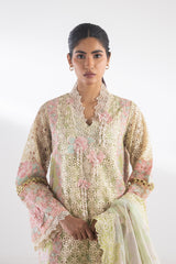 Stitched Embroidered Organza Suit
