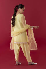 Stitched Kids Embroidered Organza Suit