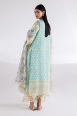 Stitched Organza Embroidered Suit