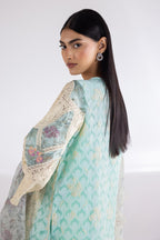 Stitched Organza Embroidered Suit