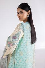 Stitched Organza Embroidered Suit